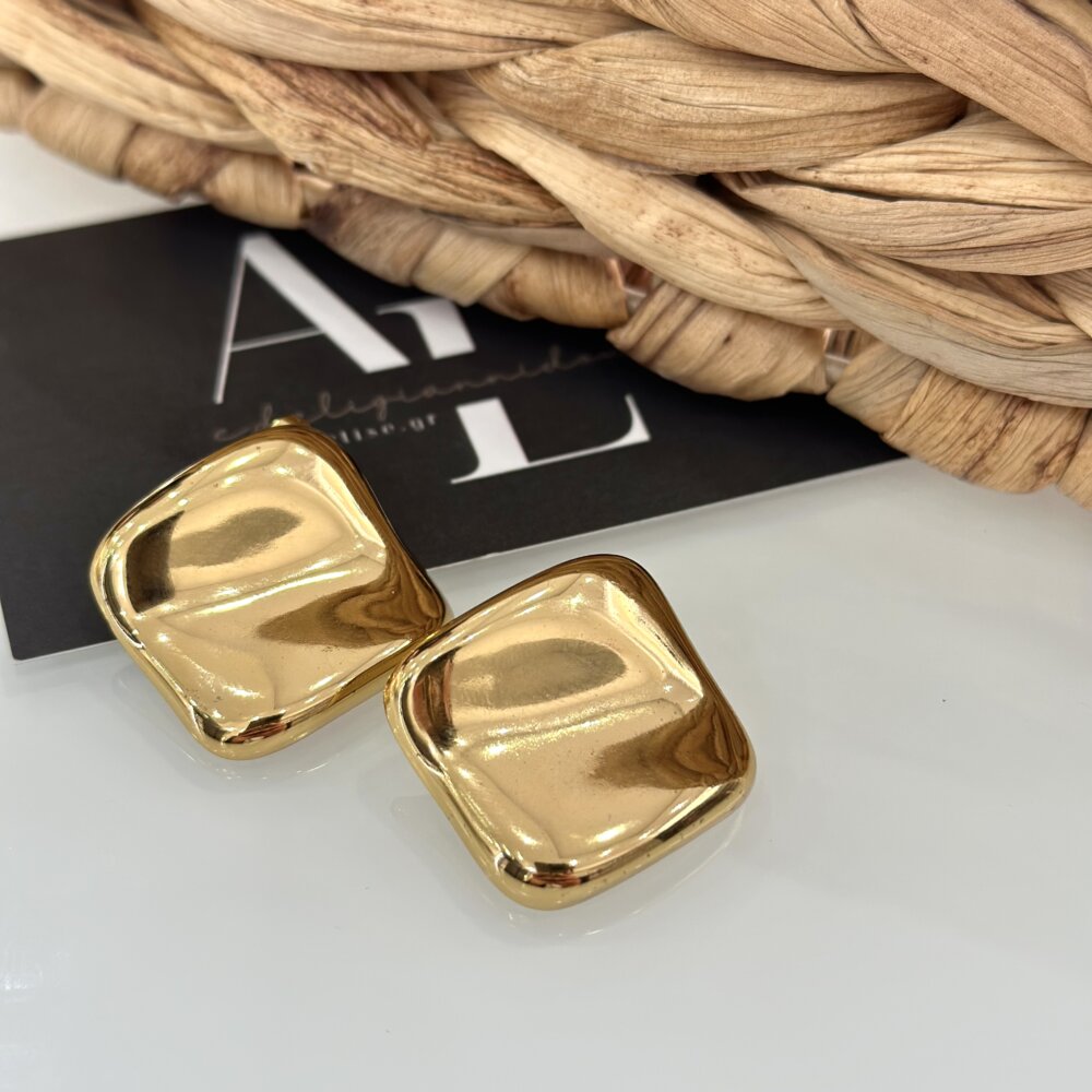 BIANCA EARRINGS GOLD | S.STEEL